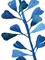 Sapphire Stems V Poster Print by Asia Jensen - Item # VARPDXJN146A